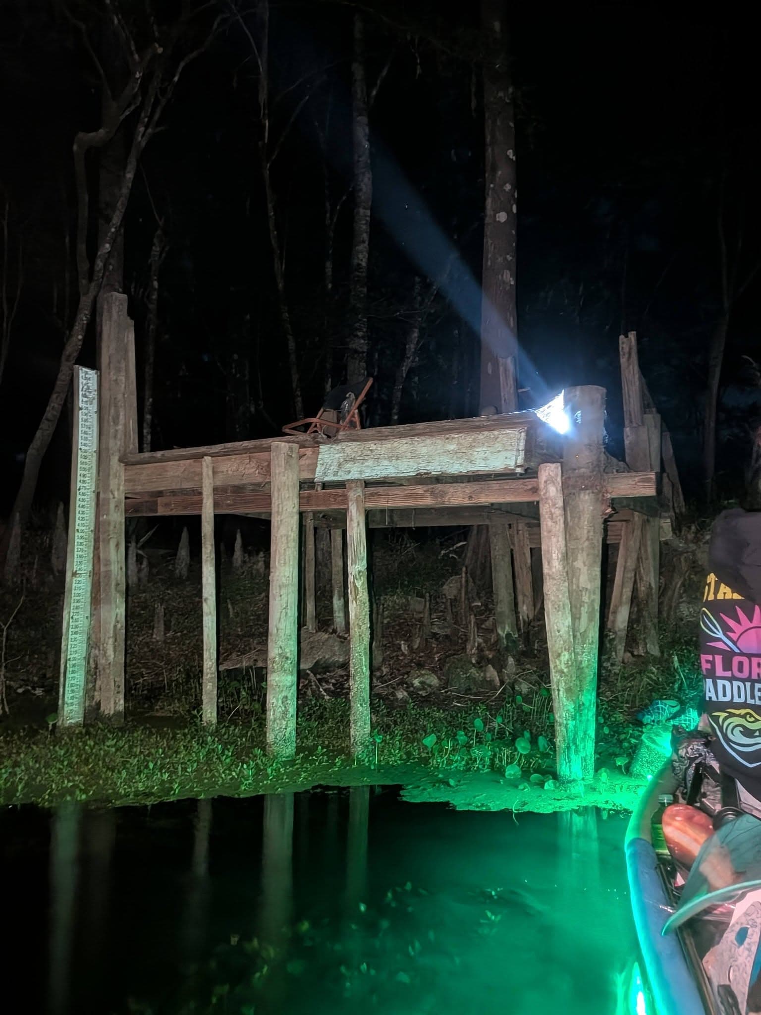 Lily Springs by Moonlight